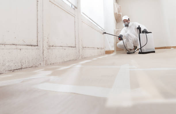 24/7 Emergency Mold Removal experts in Annandale, NJ