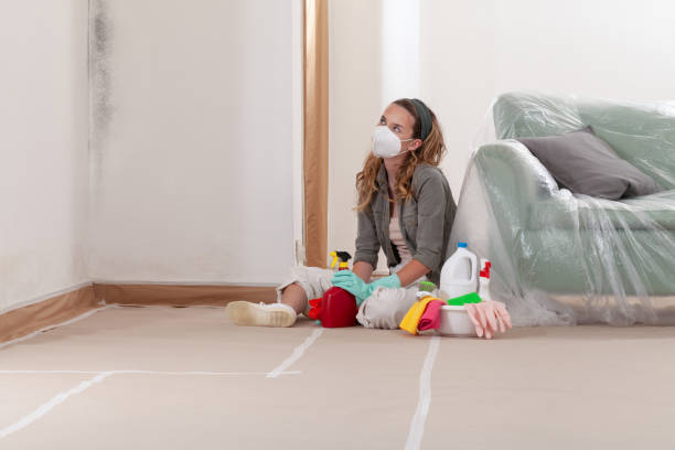 Reliable Mold Removal contractor in Annandale, NJ by 24 Hour Mold Removal